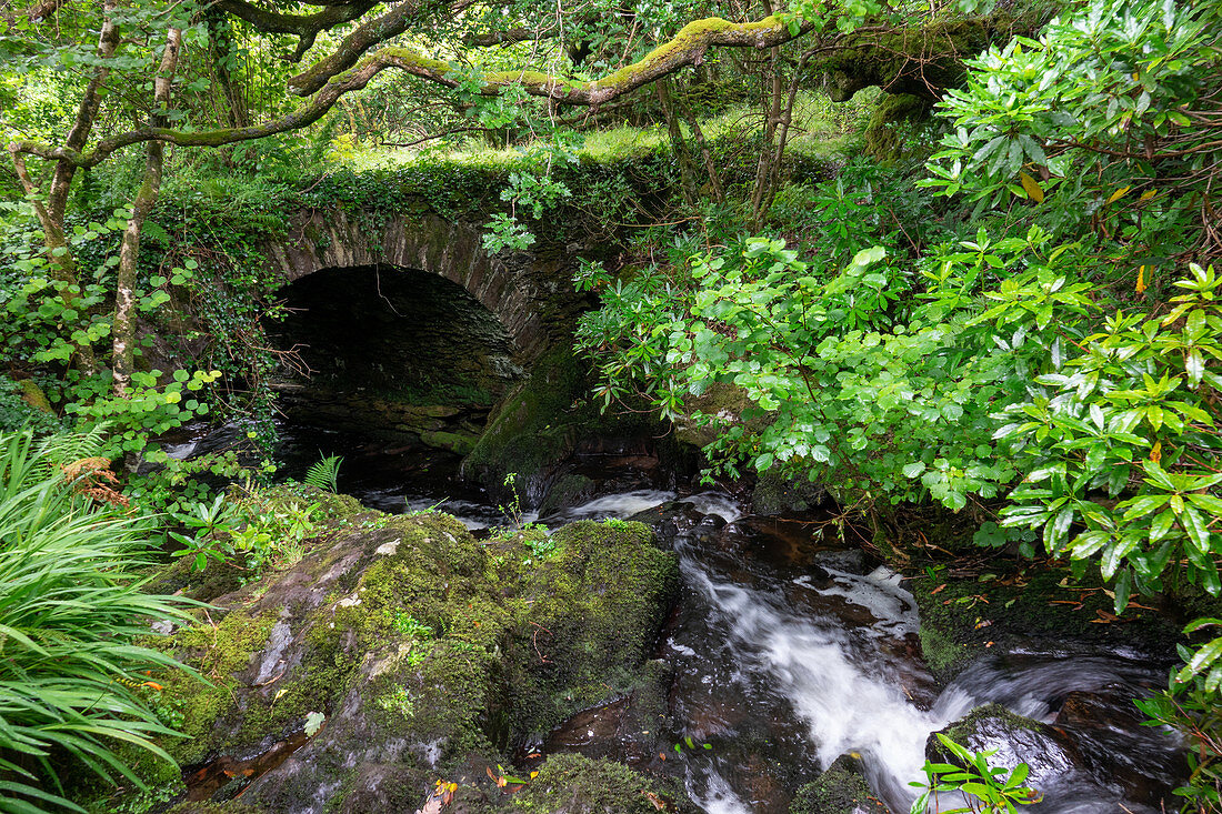 Steinbrücke im Derrynane National Historic Park, Caherdaniel, Grafschaft Kerry, Ring of Kerry, Irland