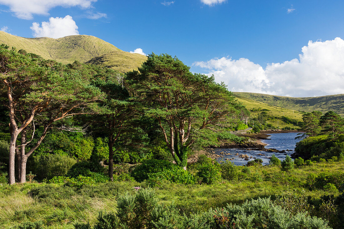 Erriff River, Aasleagh Wasserfälle, Grafschaft Galway, Irland