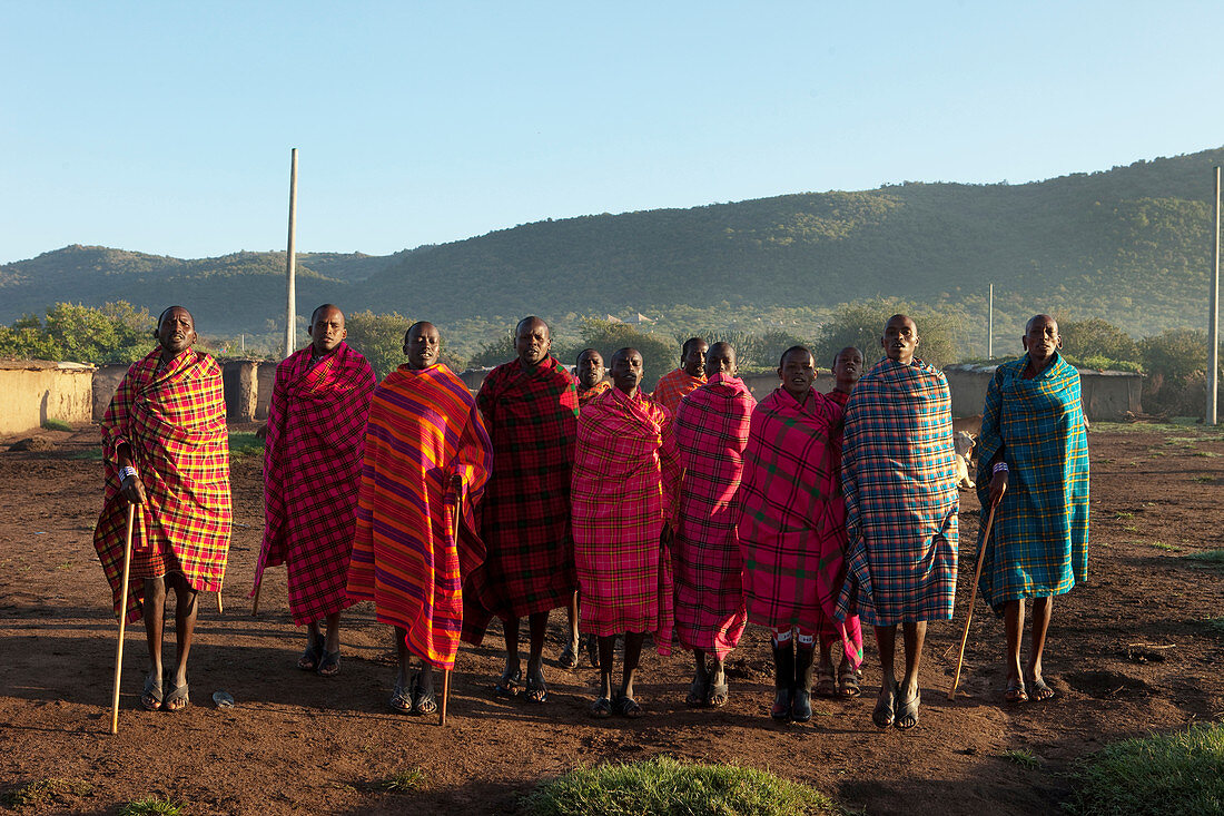 Group of Masai dancing, Safari, National Park, Masai Mara, Maasai Mara, Serengeti, Kenya