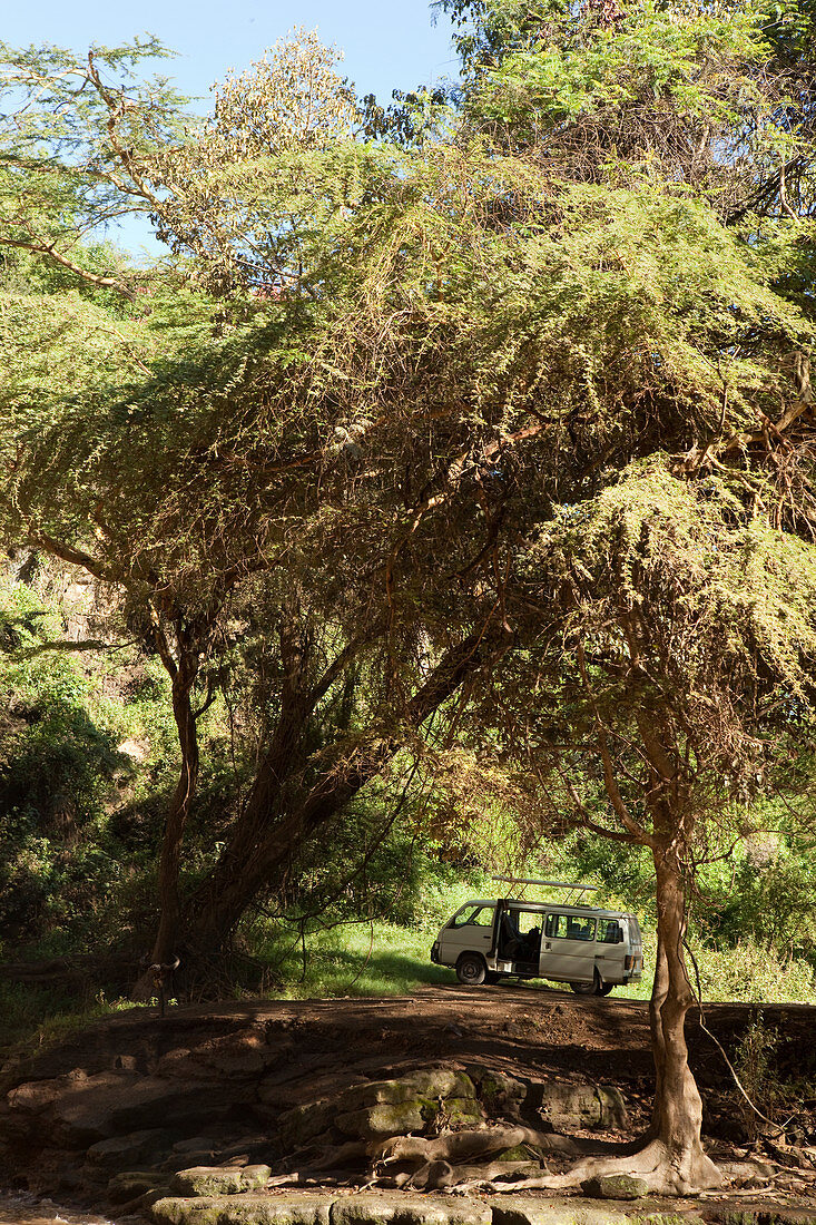 Minibus on safari, safari, Lake Nakuru National Park, Nakuru, Nakuru County, Kenya