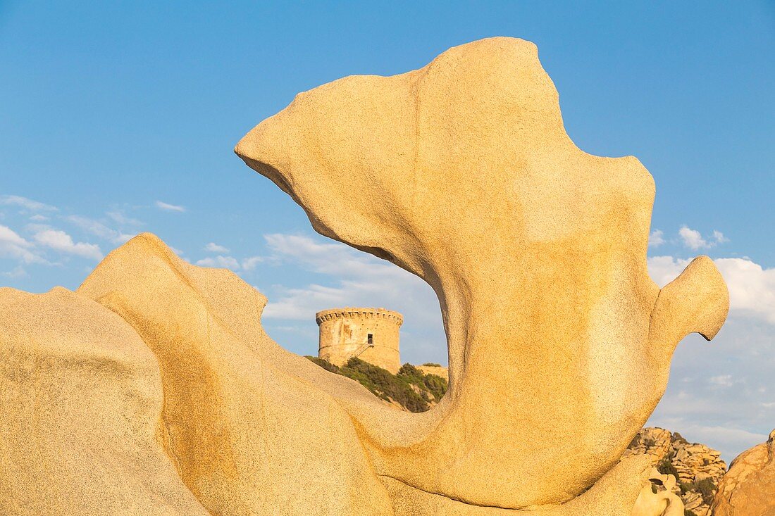 France, Corse du Sud, Belvedere Campomoro, taffonis or rocks sculptured by the erosion in front of the Genoese tower of Campomoro