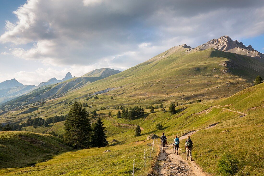 Frankreich, Alpes-de-Haute-Provence, Nationalpark Mercantour, Haute-Hubaye, Wanderer im Tal von Fourane