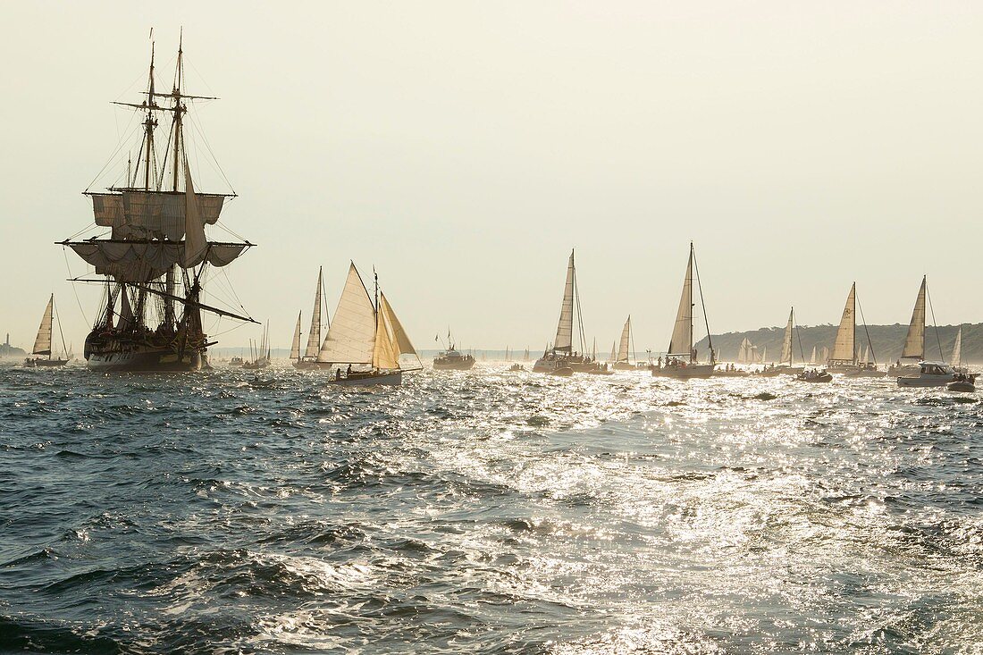 France, Finistere, Brest, Fetes maritimes internationales de Brest 2016 (International maritime feast Brest 2016), large gathering of sailing and yachting and of sailors and seafarers, the Hermione the frigate of Liberty and the flotilla of sailboats during the Grande Traversee (the big crossing) between Brest and Douarnenez