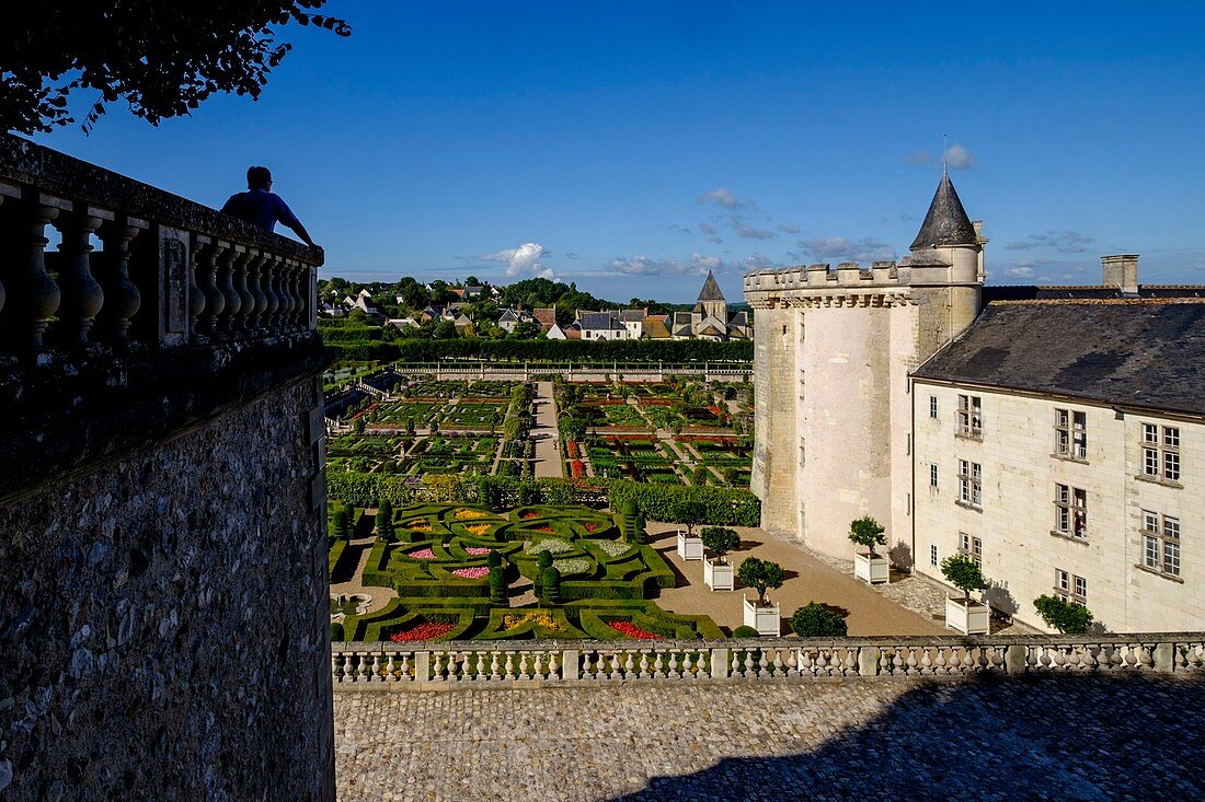 France, Indre et Loire, Loire Valley listed as World Heritage by UNESCO, castle and Gardens of Villandry, built in 16 th century, in Renaissance style (property of Angelique and Henri Carvalho)