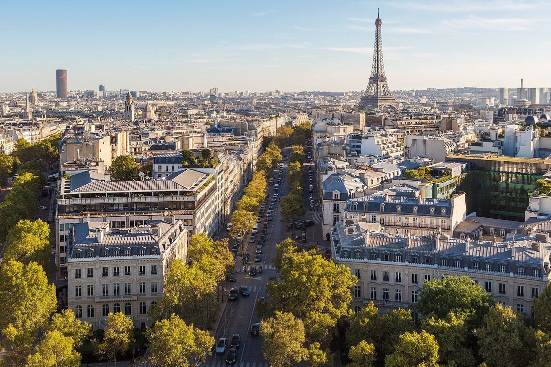 Frankreich, Paris, Panoramablickmit der Avenue d'Iena, die zum Eiffelturm führt