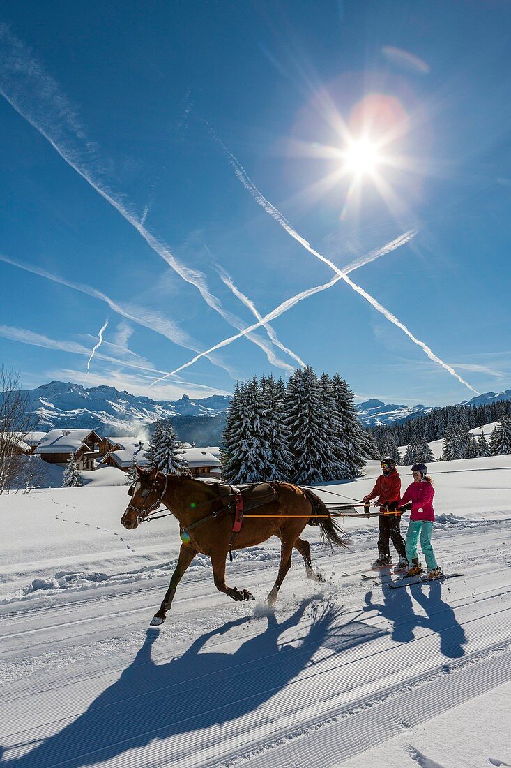 Frankreich, Savoie, Les Saisies, Beaufortain, Skijöring