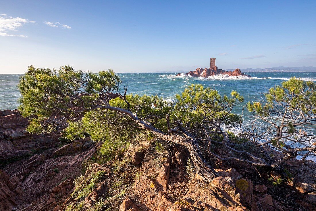 Frankreich, Var, Saint-Raphaël, starker Wellengang und starker Wind auf dem Turm des Ile d'Or am Cap du Dramont