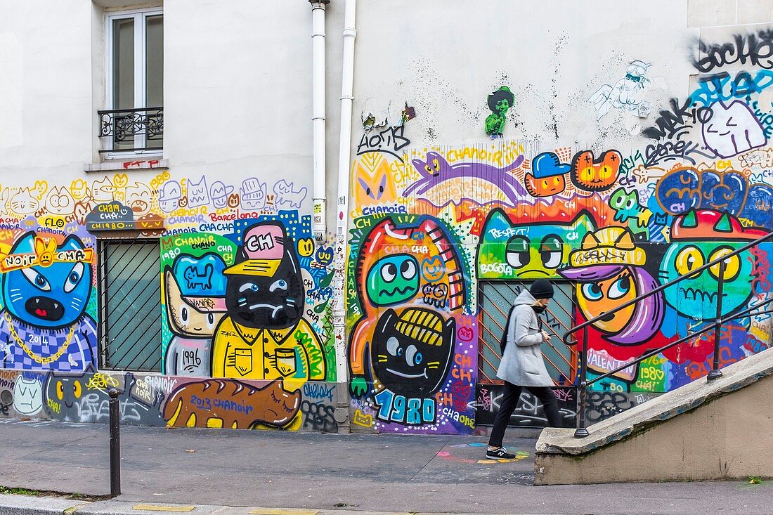 France, Paris, Bichat street on the banks of canal Saint-Martin, street art by the franco-colombian artist Alberto VEJARANO, alias CHANOIR