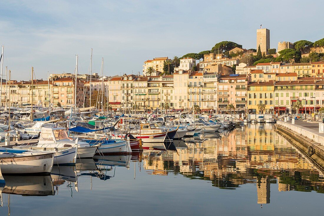 France, Alpes-Maritimes, Cannes, the old port and the Suquet with its tower