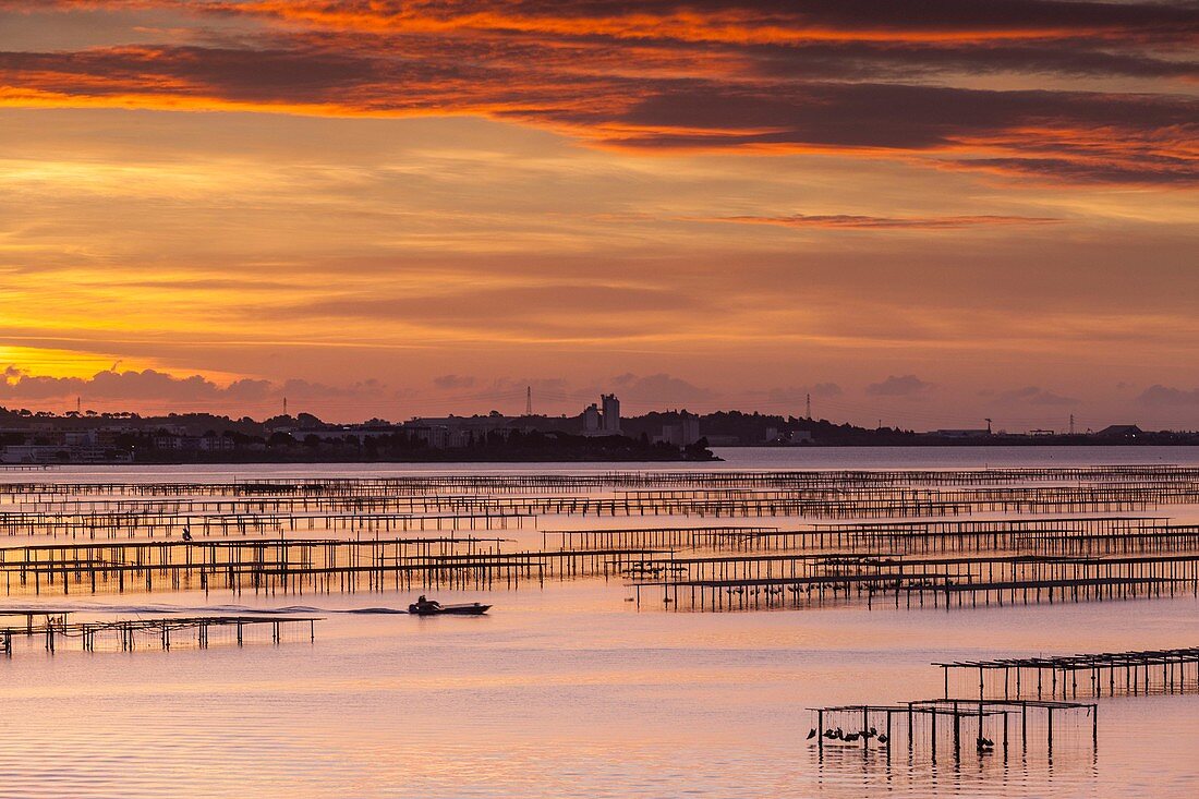 Frankreich, Hérault, Sète, Etang de Thau (Thau-See) und die Stadt Sète im Hintergrund