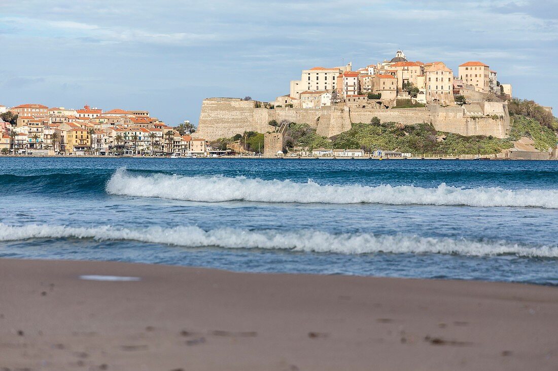 France, Haute Corse, Balagne, Calvi and his Genoese citadel seen since the beach of the bay of Calvi