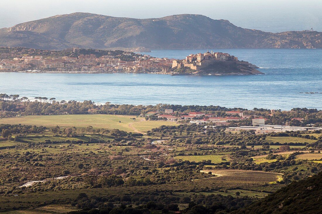 France, Haute Corse, Balagne, forward plan the military camp Raffalli, the citadel of Calvi, in background the peninsula of Revellata