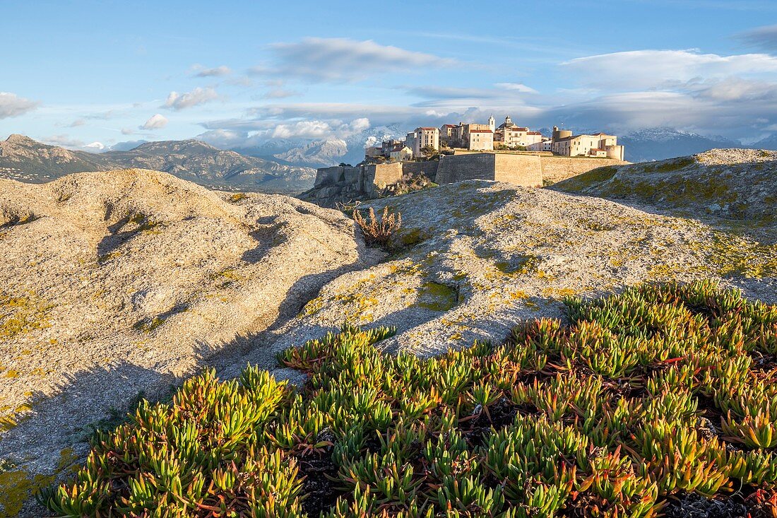 Frankreich, Haute-Corse, Balagne, Calvi, die genuesische Zitadelle von der Pointe Saint-François aus gesehen