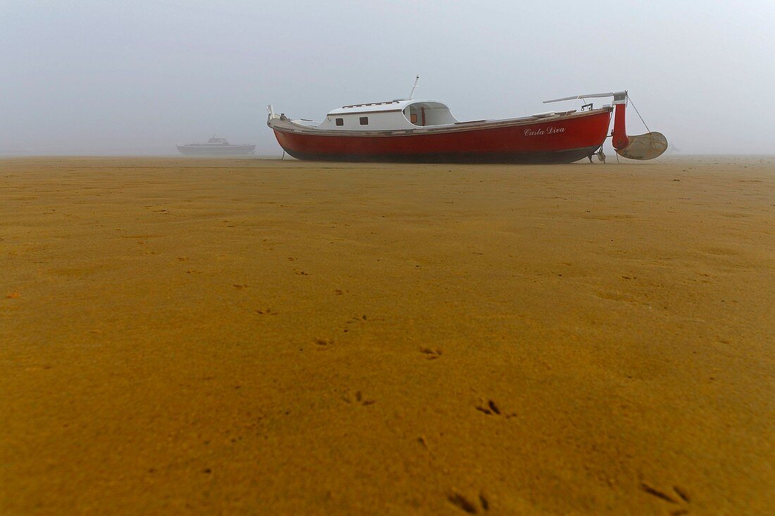 Frankreich, Gironde, Bassin d'Arcachon, Cap Ferret, Pinasse