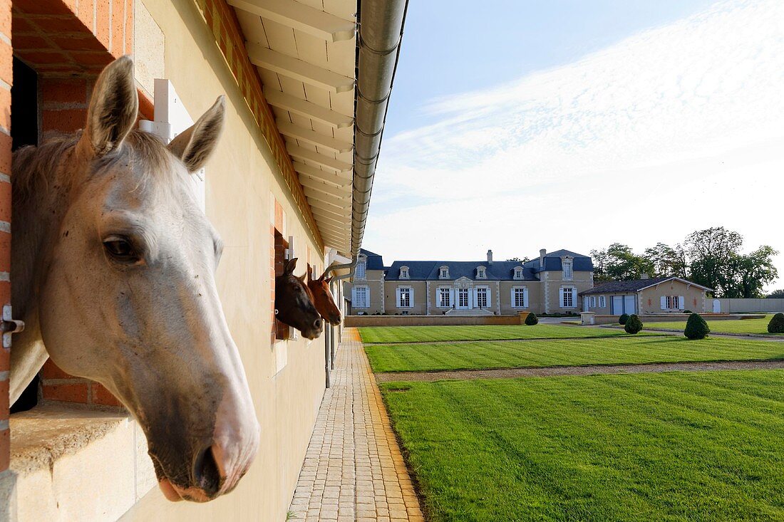 France, Gironde, Canejan, Pessac Leognan, Chateau de Rouillac, stables