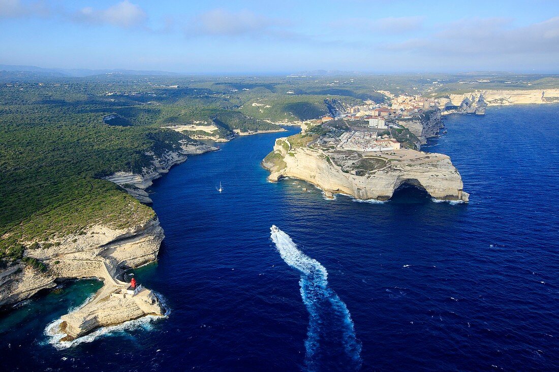 France, Corse du Sud, Freto, Bonifacio, the cliffs and cave of Saint Antoine, left Punta San Antonio and lighthouse of the Madonetta (aerial view)