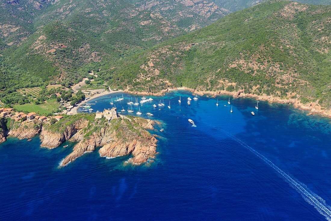 France, Corse du Sud, Deux Sevi, Gulf of Girolata, Osani, Girolata and its fort (aerial view)