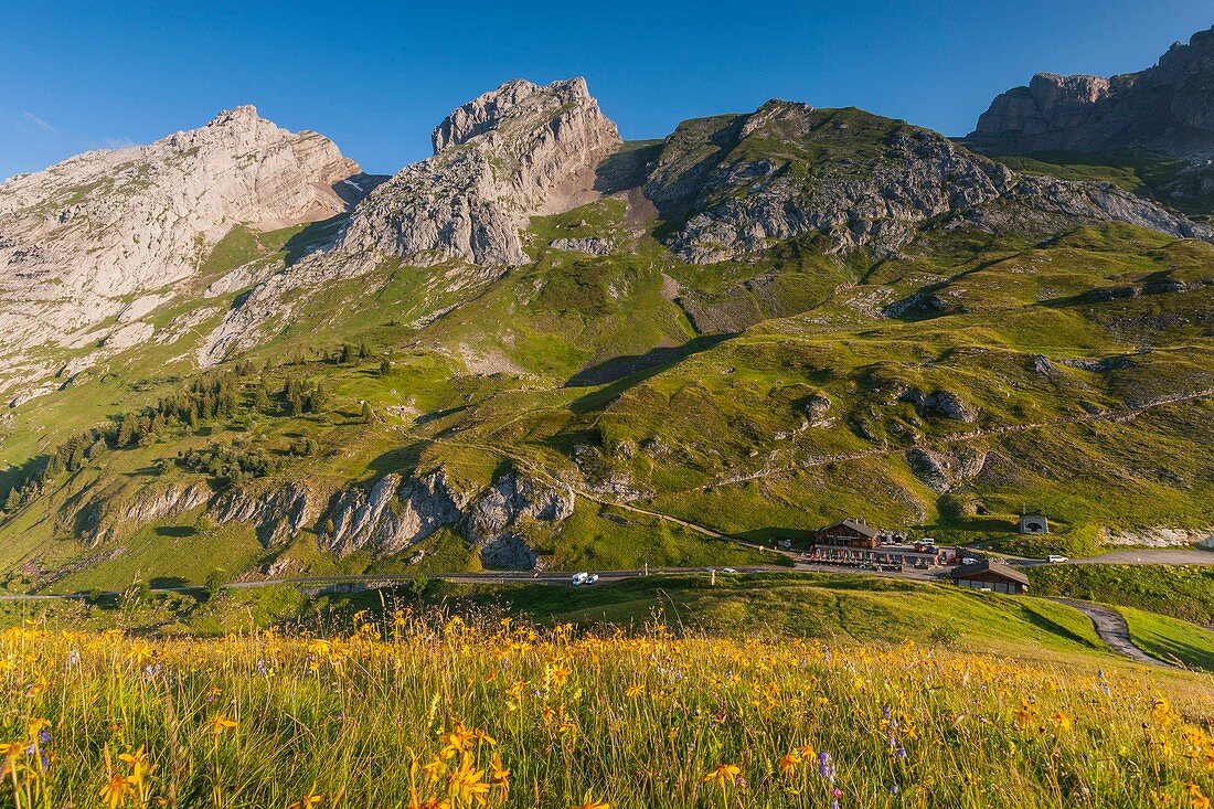 France, Haute-Savoie, Col de la Colombiere and the peaks of the Bargy massif