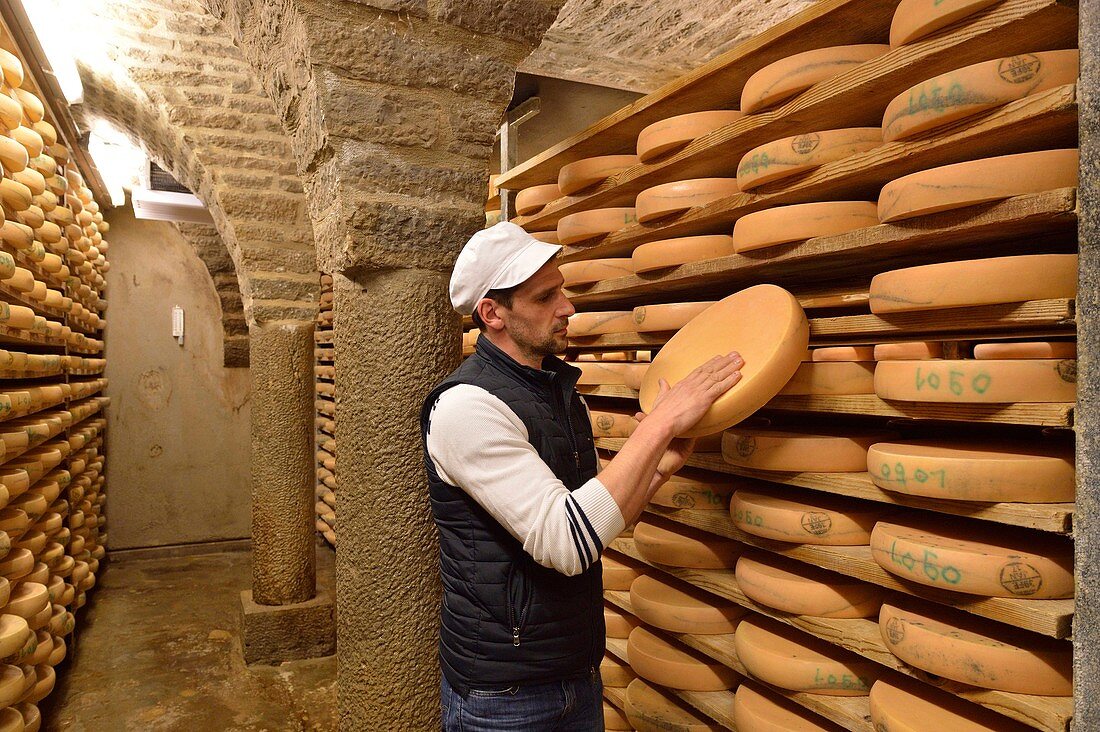 France, Jura, Grange sur Baume, Morbier cheese cellar, Hubert Poulet