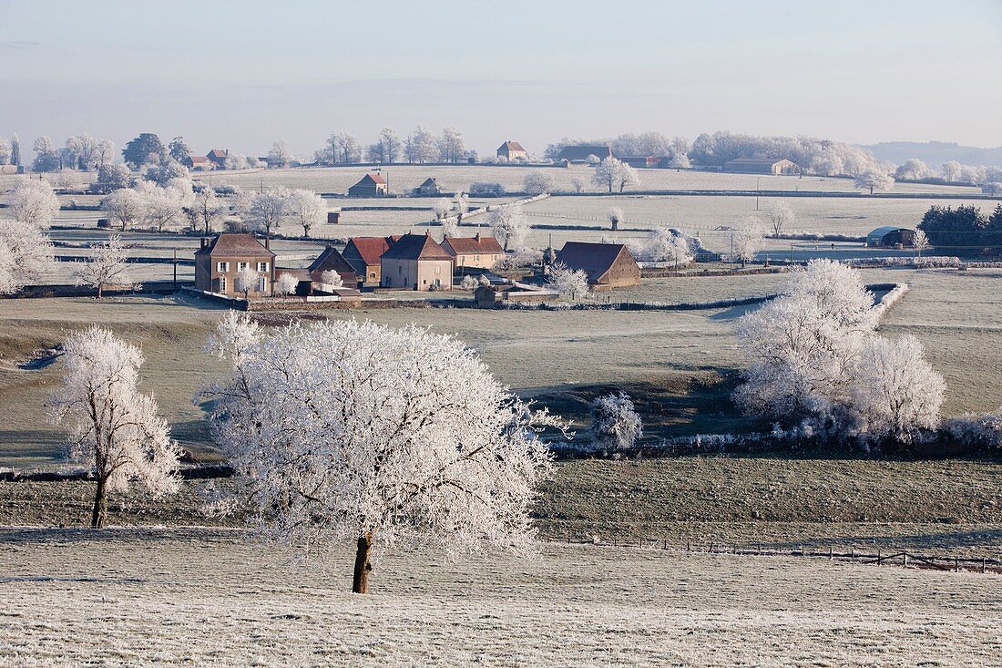 France, Saone et Loire, Brionnais région, Oyé village in winter