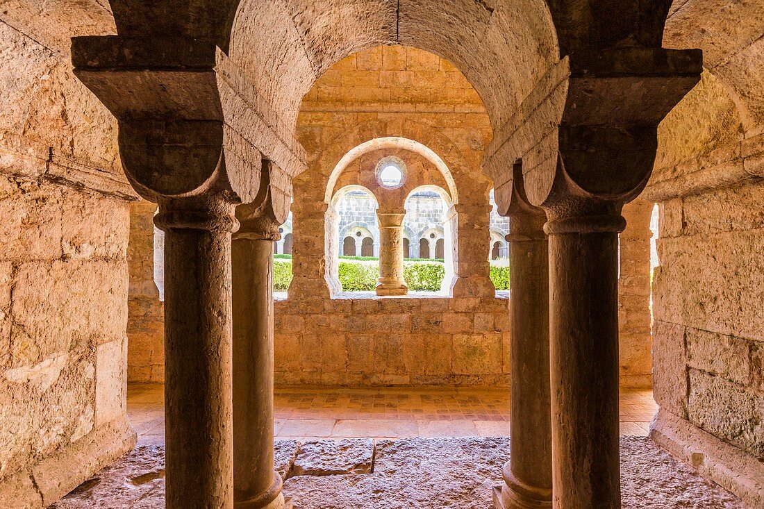 France, Var, Thoronet, Cistercian abbey of the Thoronet built in XIIth and XIIIth centuries, arches geminated by the cloister with leaky tympanum of a simple oculus