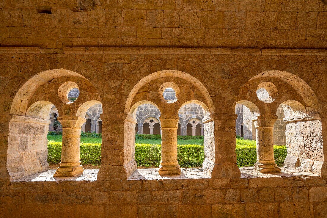 Frankreich, Var, Le Thoronet, Zisterzienserabtei von Le Thoronet, erbaut im 12. und 13. Jahrhundert, Doppelarkaden des Kreuzgangs mit Tympanons, die von einem einfachen Oculus durchbrochen sind