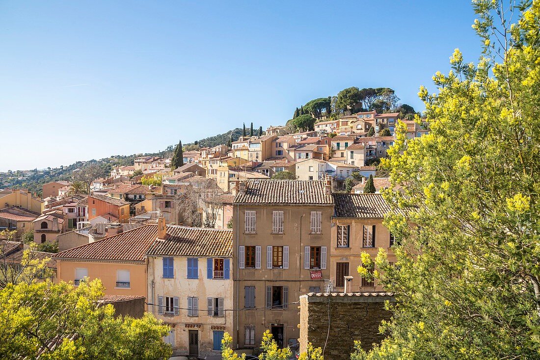 Frankreich, Var, Bormes-les-Mimosas, Ausgangsort bei Kilometer 0 auf der 130 km langen Touristenroute der Route du Mimosa