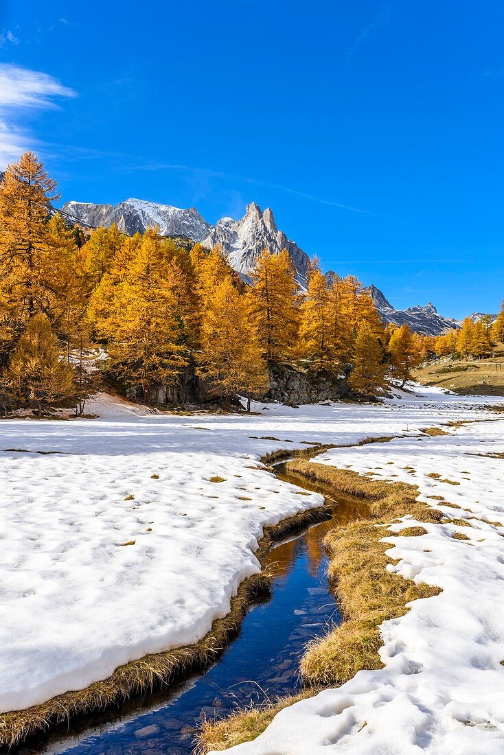 Frankreich, Hautes-Alpe, Brianconnais im Herbst, Claree-Tal, Cerces-Massiv