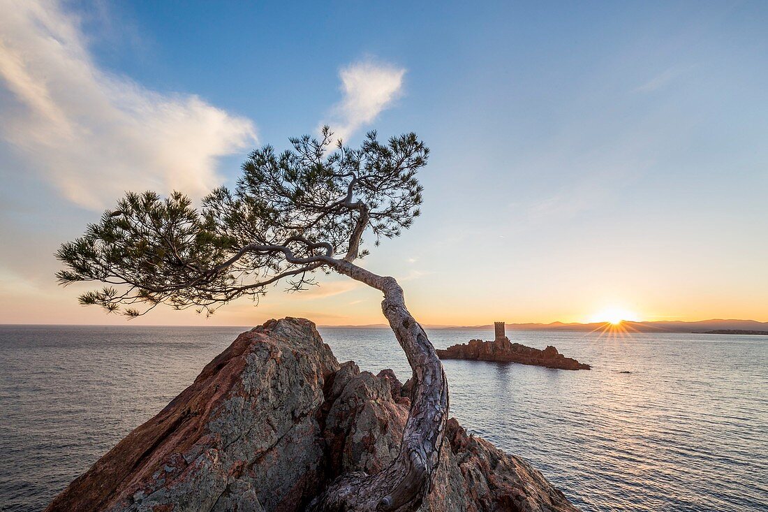 France, Var, Esterel Corniche, Saint Raphael, the tower of the golden island off the Cap du Dramont