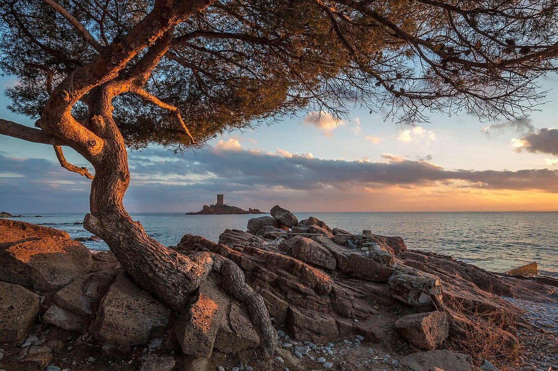 France, Var, Esterel Corniche, Saint Raphael, landing beach of Dramont, in the background the tower of the golden island