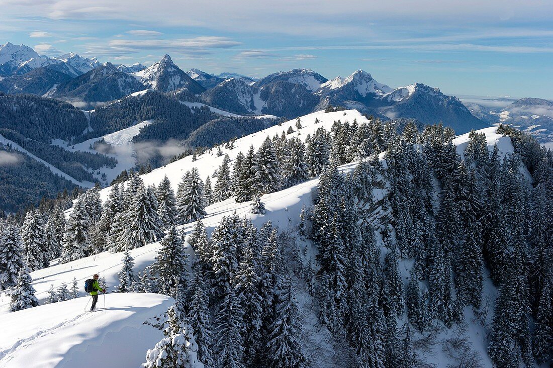 France, Haute-Savoie, Thollon-les-Mémises, snowshoe hiker walking on the Crête des Ménises