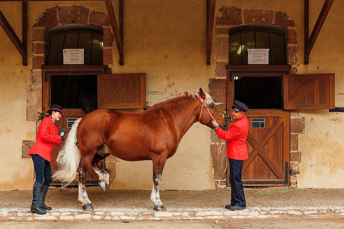 France, Aveyron, listed at Great Tourist Sites in Midi Pyrenees, Rodez, Haras National Rodez, presentation of horses