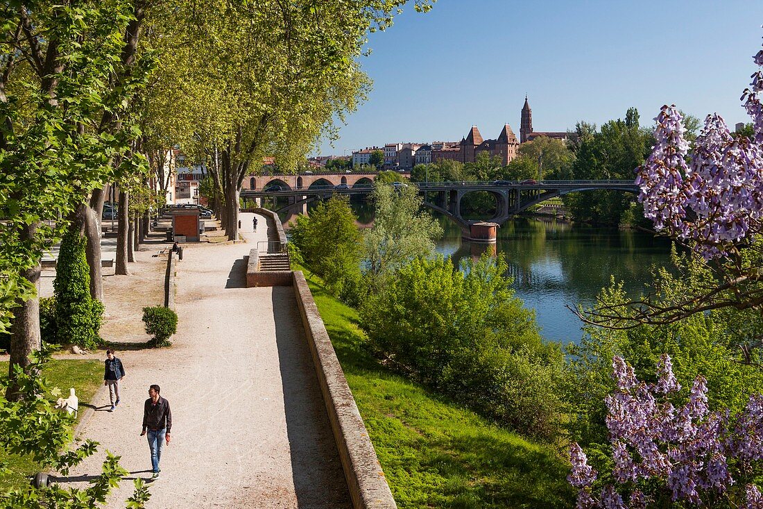 Frankreich, Tarn-et-Garonne, Montauban, Ufer des Flusses Tarn