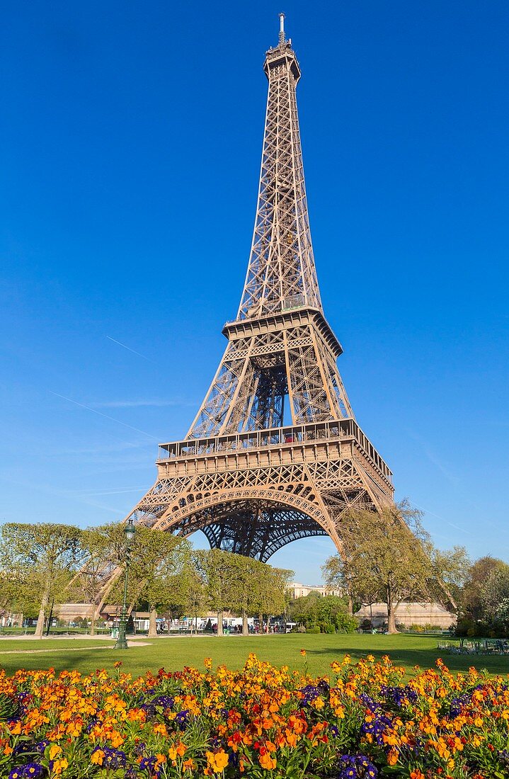 Frankreich, Paris, der Eiffelturm im Frühjahr