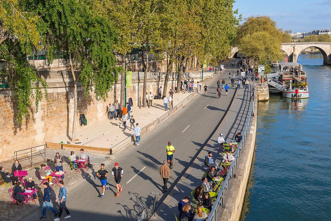 France, Paris, area listed as World heritage by UNESCO, the Rives de Seine park, new railway track development inaugurated on 02/04/2017