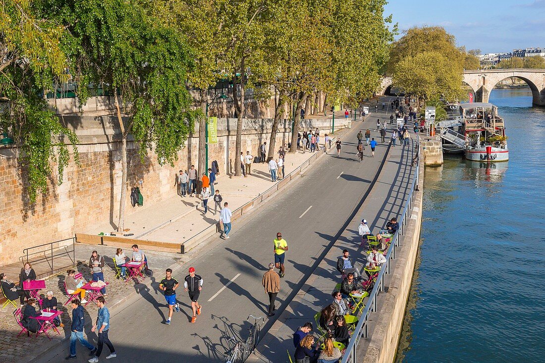 Frankreich, Paris, UNESCO-Weltkulturerbegebiet, Parc Rives de Seine, Neubau der Uferpromenaden, am 02.04.2017 eingeweiht