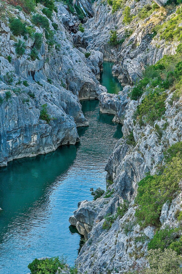 Frankreich, Hérault, Gorges de l'Hérault, Fluss Herault, der am Grund der tiefen Schluchten fließt