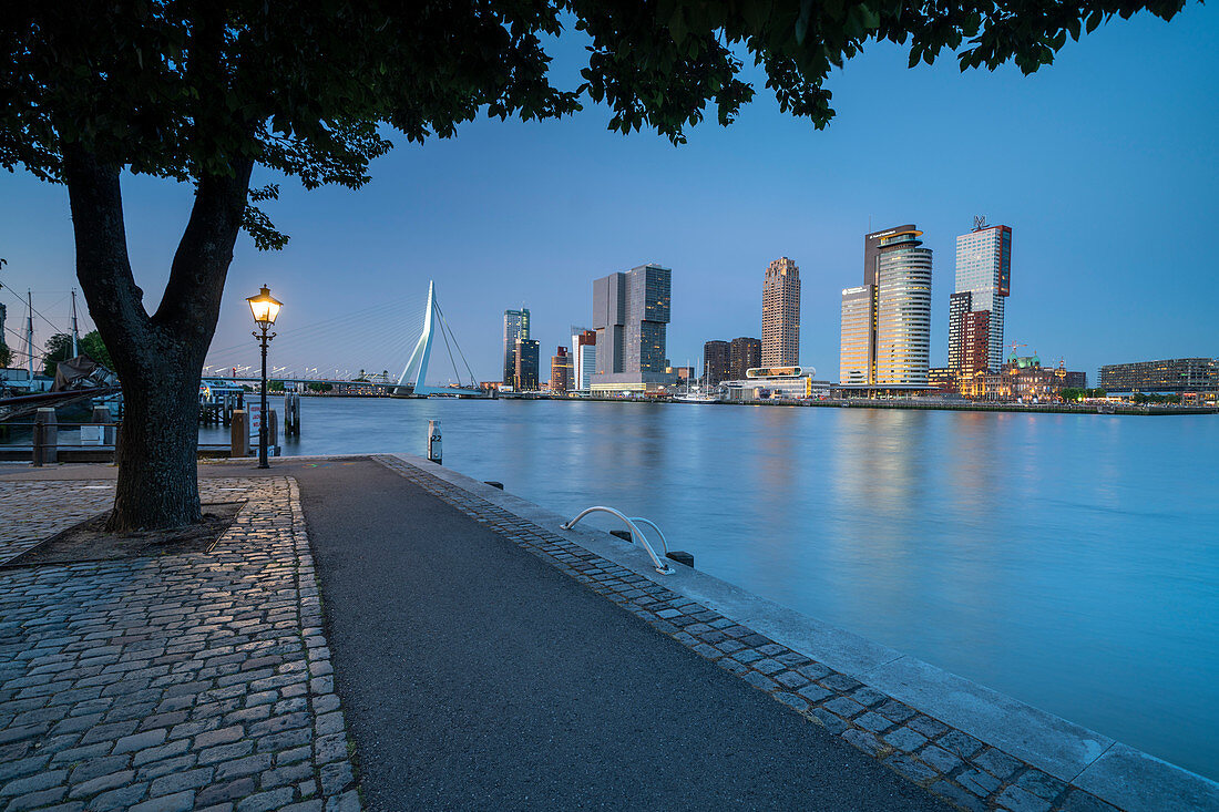Blick während der Blauen Stunde über die Neue Maas auf die Erasmusbrücke und die Skyline am Cruise Terminal in Rotterdam, Niederlande