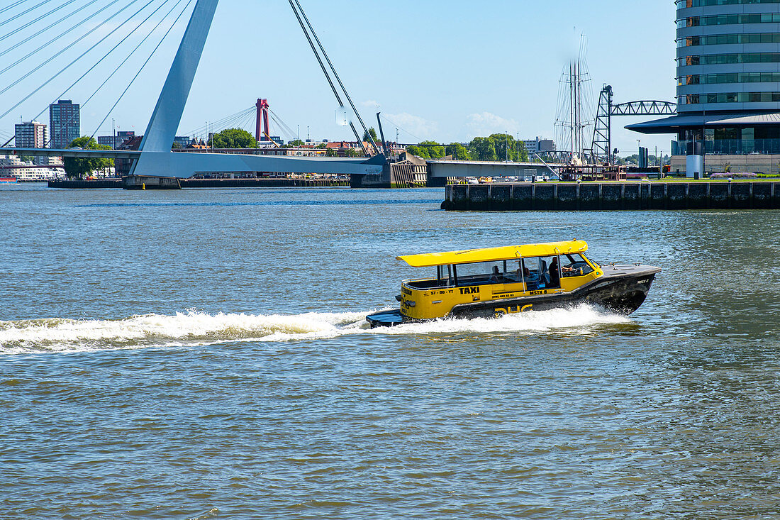 A taxi boat travels on the New Meuse to the Kop van Zuid district. The Erasmus Bridge can be seen in the background. Rotterdam, The Netherlands, June 2020