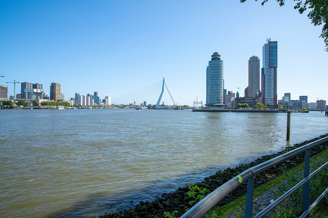 Blick über die Neue Maas auf den neuen Stadtteil Kop van Zuid, mit den Gebäuden World Port Center, Hotel New York und dem Montevideo Turm, Rotterdam, Niederlande