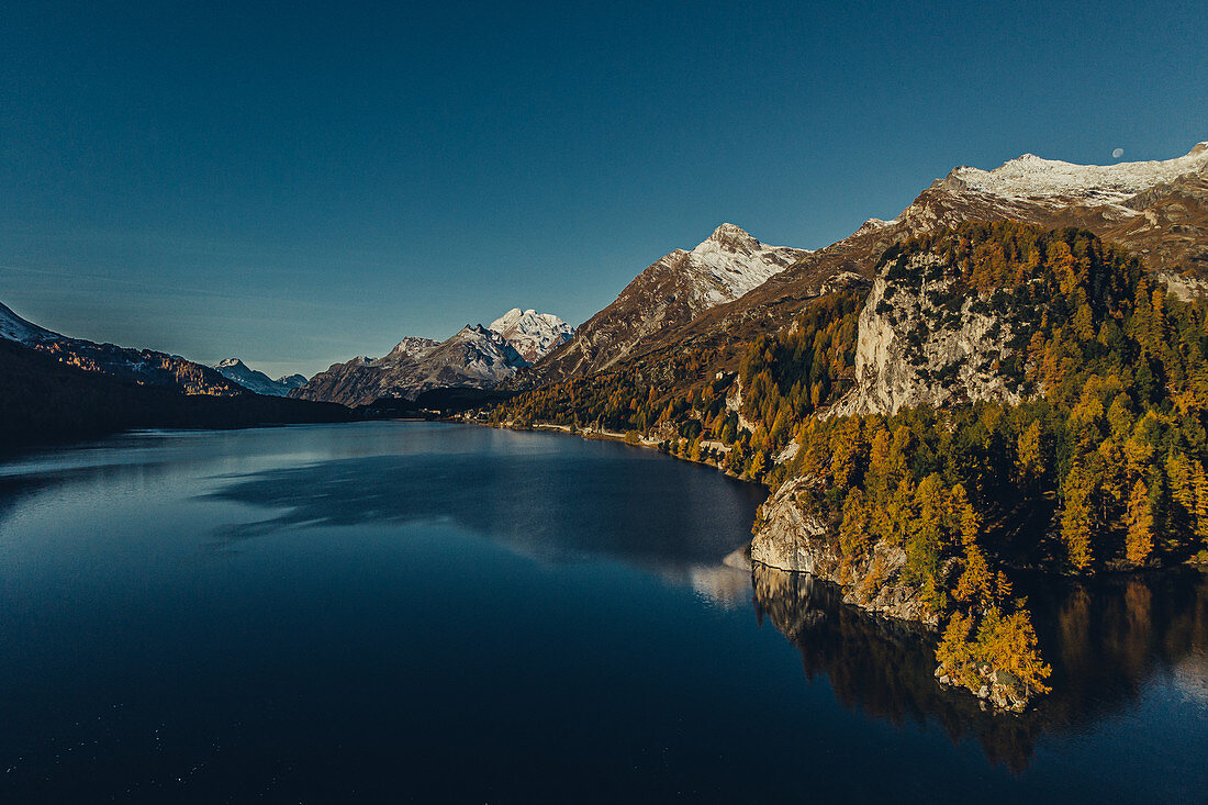 Herbstlicher Wald am Silsersee im Oberengadin, Sankt Moritz im Engadin, Schweiz, Europa