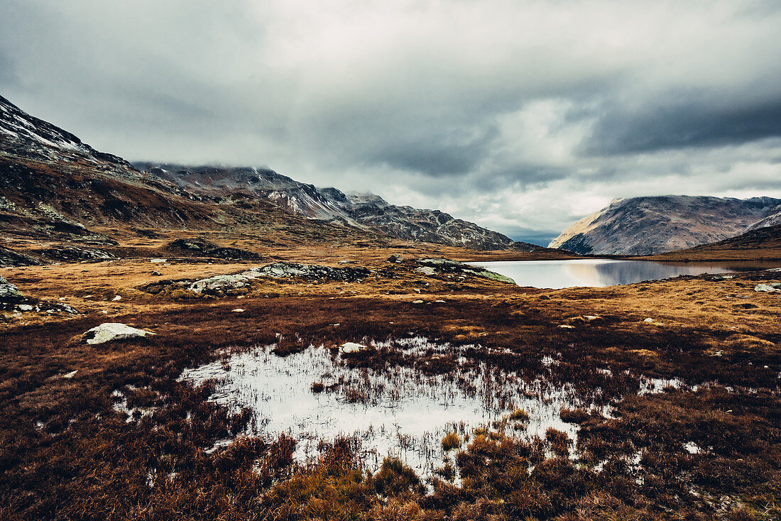 Lago Bianco in the evening mood, Upper Engadine, Engadin, Switzerland, Europe