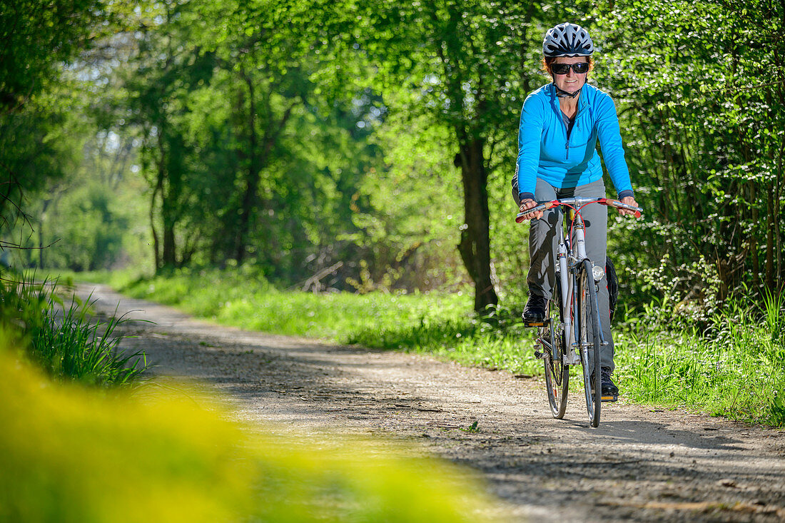Woman rides through forest on Danube Cycle Path, Neuburg an der Donau, Danube Cycle Path, Upper Bavaria, Bavaria, Germany