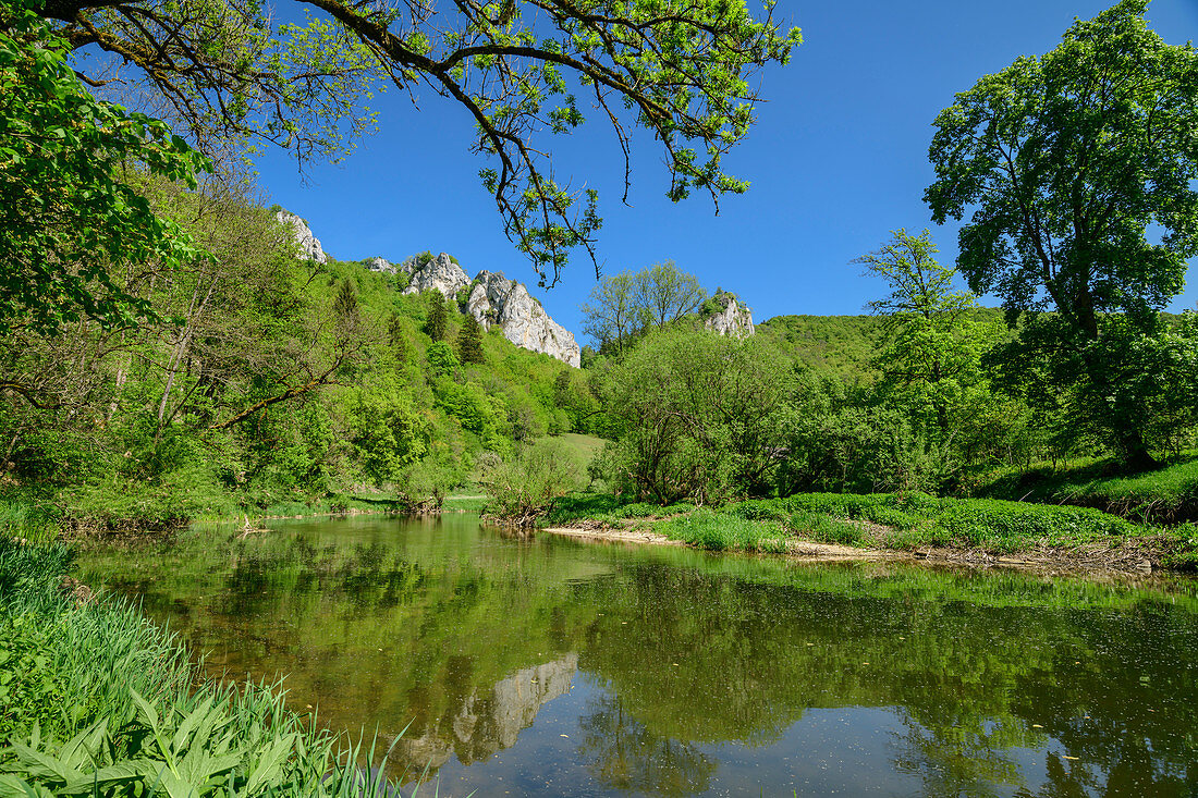 Donau im oberen Donautal, nahe Beuron, Donau-Radweg, Baden-Württemberg, Deutschland