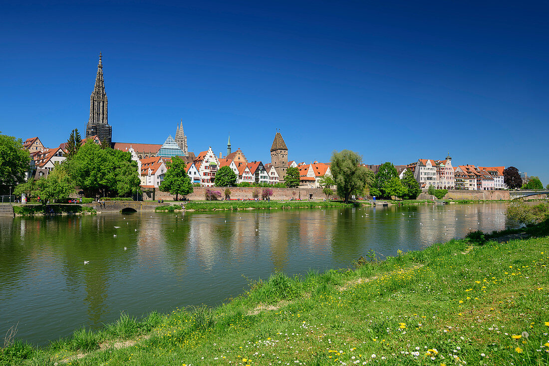 Blick über die Donau hinweg auf Ulm mit Ulmer Münster, Neu-Ulm, Donau-Radweg, Schwaben, Bayern, Deutschland