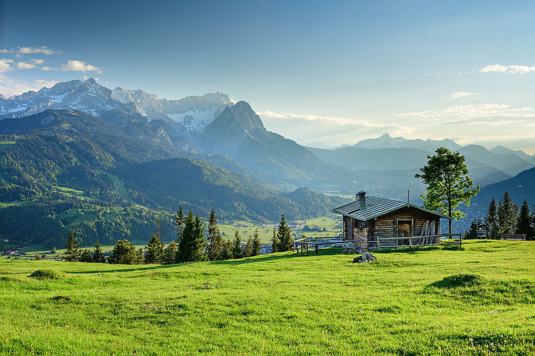 Alm in front of Wetterstein with Alpspitze and Zugspitze, Wank, Estergebirge, Werdenfels, Bavarian Alps, Upper Bavaria, Bavaria, Germany