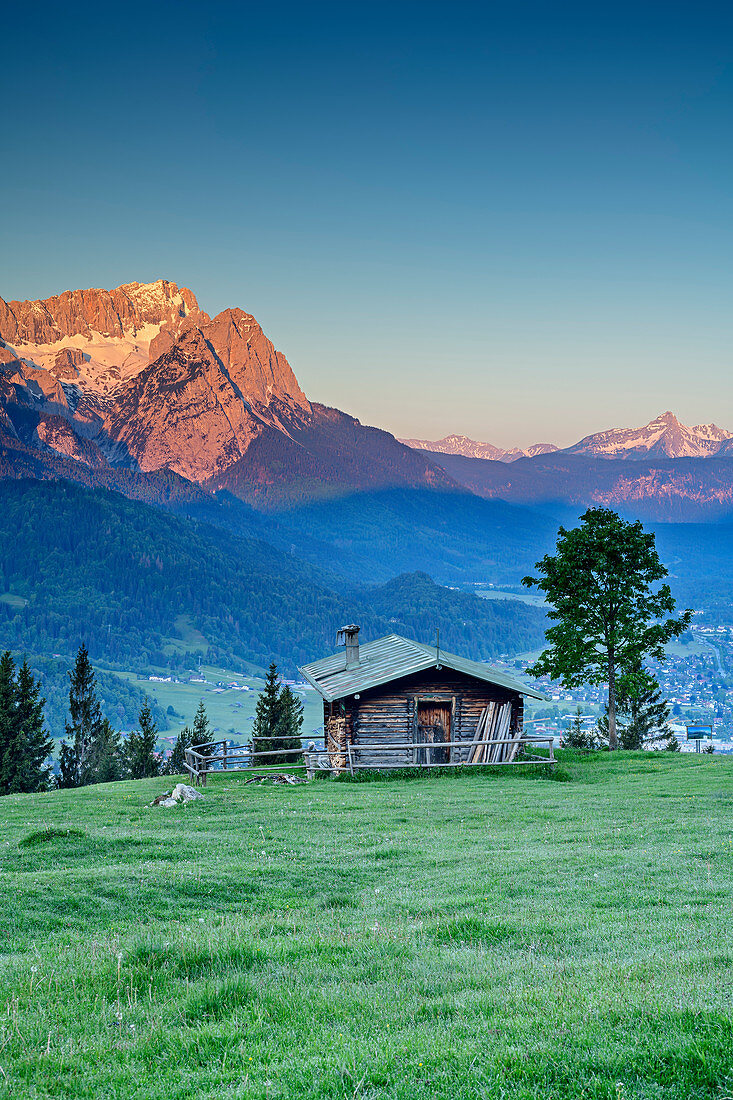 Alm in front of Wetterstein with Zugspitze at sunrise, Wank, Estergebirge, Werdenfels, Bavarian Alps, Upper Bavaria, Bavaria, Germany