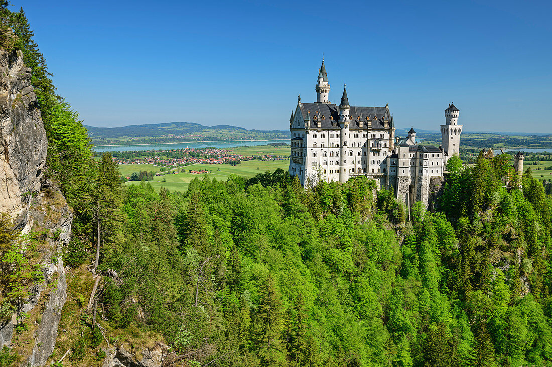 Schloss Neuschwanstein, Schwangau, Allgäu, Schwaben, Bayern, Deutschland