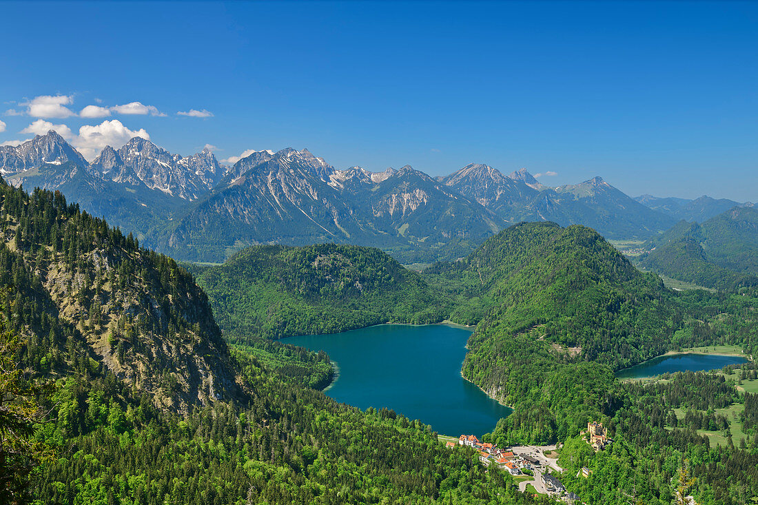 Deep view of Alpsee and Schwansee, Tannheim Mountains in the background, from Tegelberg, Ammergau Alps, Swabia, Bavaria, Germany