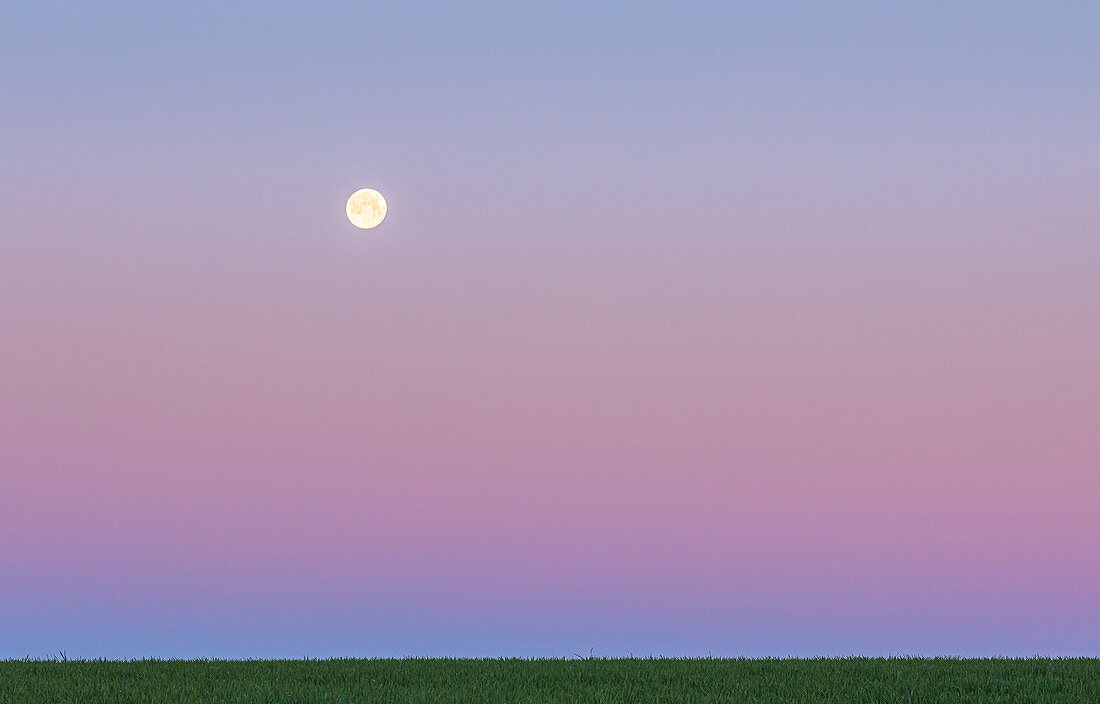 Aufgehender Mond über Wiese, Niefern, Grand Est, Elsass, Frankreich